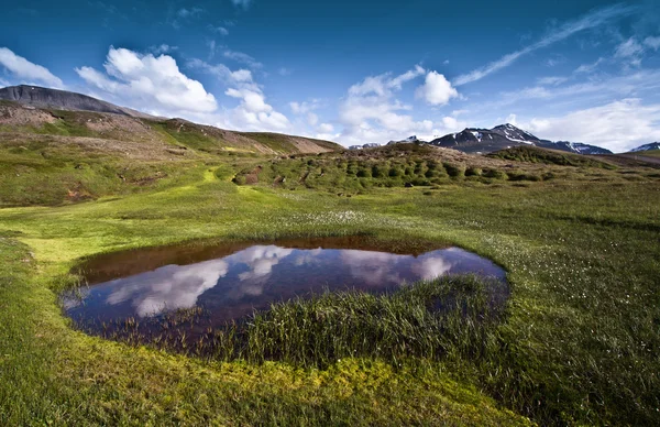 Rybník reflexe Stock Fotografie