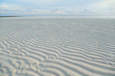 beyaz kum. mercan kum. doğal arka plan