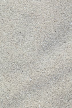 beyaz kum. mercan kum. doğal arka plan