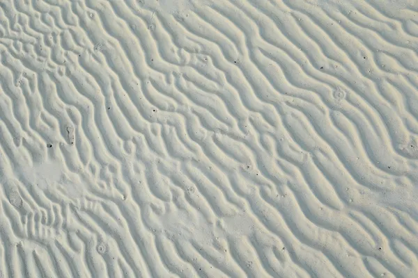 白色的沙滩。珊瑚沙。自然背景 — 图库照片