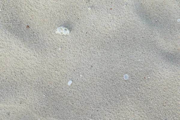 Du sable blanc. Du sable corail. Contexte naturel — Photo