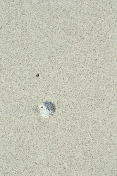 Белый песок. Коралловый песок. Естественный фон — стоковое фото