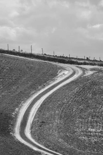 Kırsal kesimde yol manzarası. tek renkli resim.