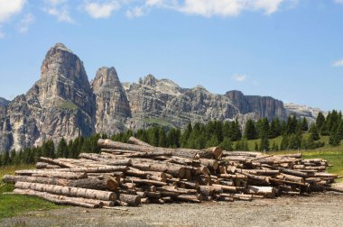 Trentino alto Adige 'de odun yığını
