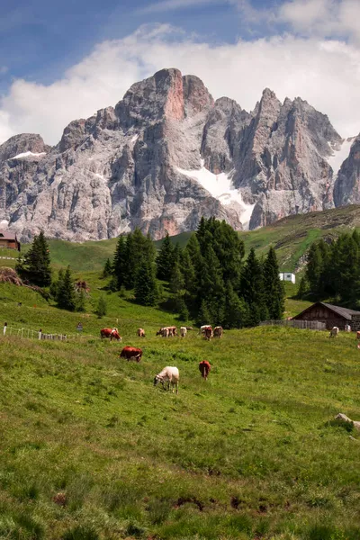 Paesaggio Alpino Italiano Con Cielo Nuvoloso — Foto Stock