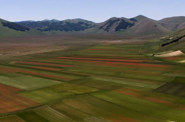 Zomer Castelluccio Norcia — Stockfoto