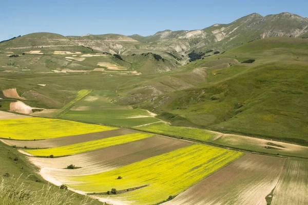 Sommartid Castelluccio Norcia — Stockfoto