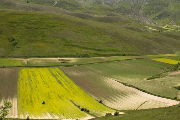 Léto Castelluccio Norcia — Stock fotografie