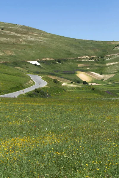 Zomer Castelluccio Norcia — Stockfoto