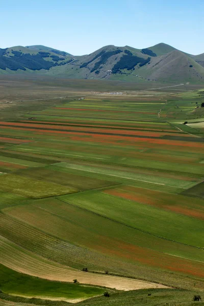 Zomer Castelluccio Norcia — Stockfoto