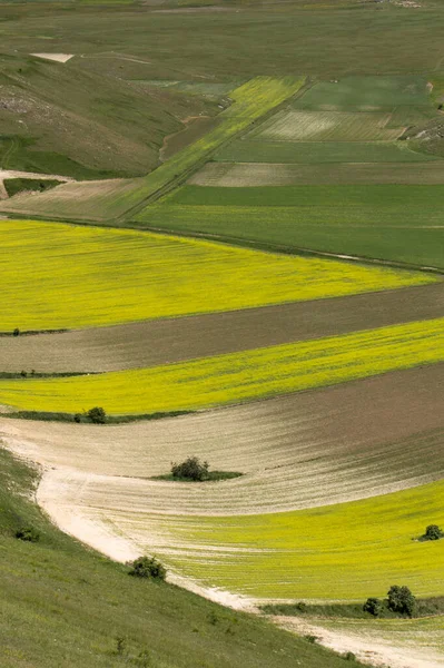 Sommartid Castelluccio Norcia Stockbild