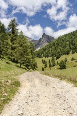 İtalyan dağları ağaçlarla çevrili.