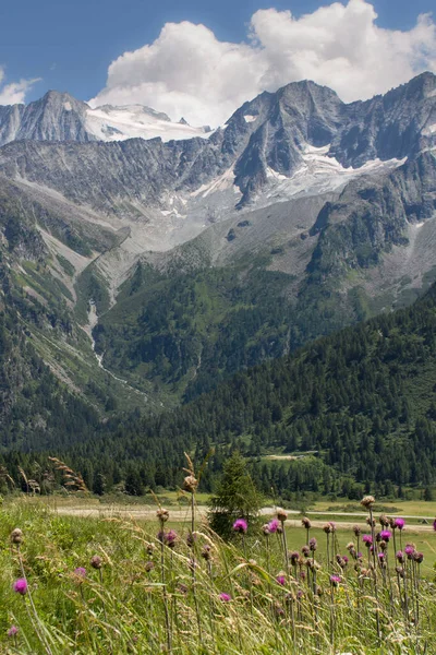 Italian Mountains Clouds Trees — Foto de Stock