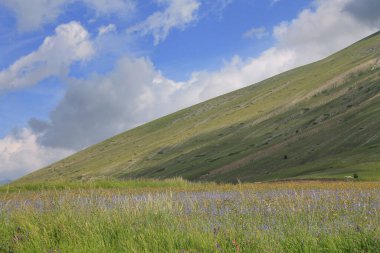 colors in Castelluccio di Norcia