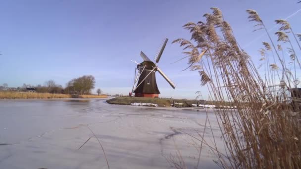 Typische Holländische Winterlandschaft Mit Windmühle Zugefrorener Kanal Den Niederlanden Traditionelle — Stockvideo