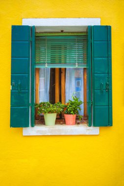 İtalya 'daki Venedik gölünde tipik bir turist adası. Güzel su kanalları ve renkli mimari. Pencereli ve panjurlu renkli bir duvar. Burano adasında mimari.