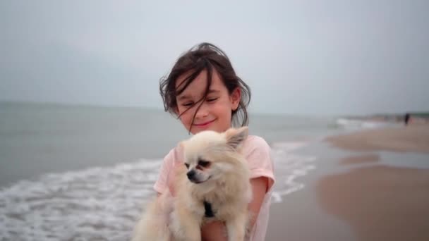 Chica feliz abrazando a su pequeño perro criar chihuahua en la orilla del mar contra el cielo azul de cerca. Los mejores amigos descansan y se divierten de vacaciones. Concepto de verano. — Vídeo de stock