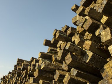 hiç bitmeyen kaynakları