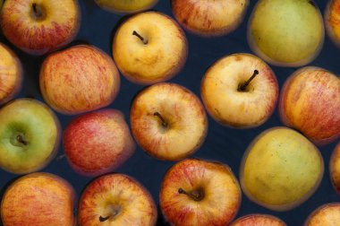 Multi renk applesin su