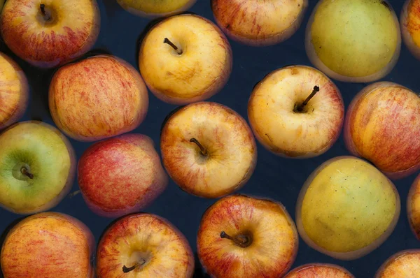 Manzanas multicolor en agua — Foto de Stock