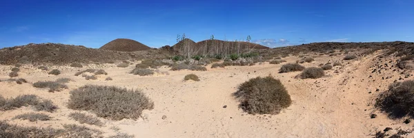 Panorama över ön lobos, Kanarieöarna. — Stockfoto