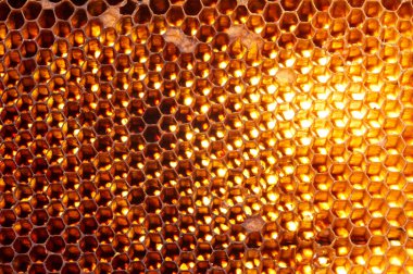 Bal Tarağı Arkaplanı