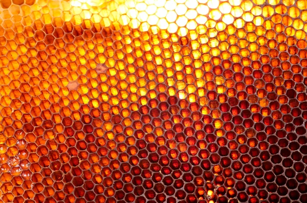 Honeycomb background — Stock Photo, Image