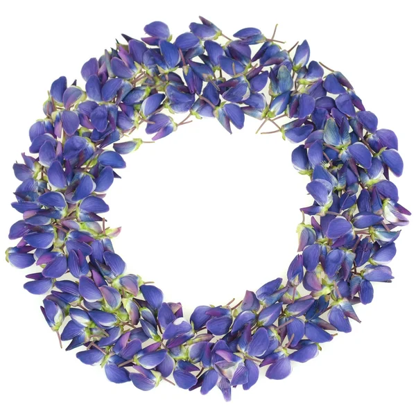 Frame made of beautiful lupine flower petals — Stock Photo, Image