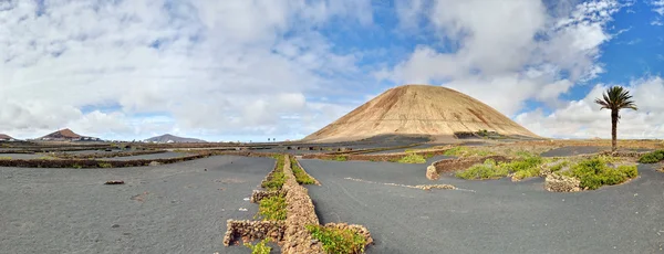 Volcano-agricultural landscape of the Lanzarote — Stock Photo, Image