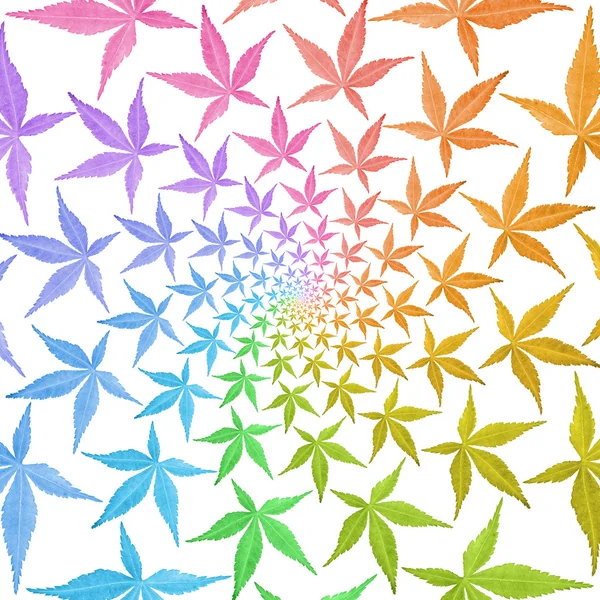 Padrão de redemoinho de quadros de círculo de folhas coloridas isoladas no wh — Fotografia de Stock