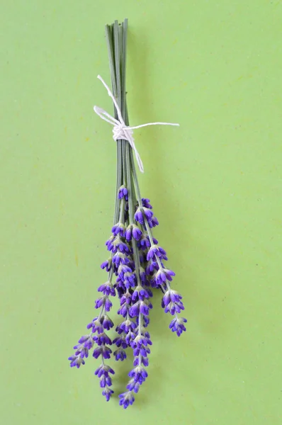 Bando de flores de lavanda no fundo verde . — Fotografia de Stock