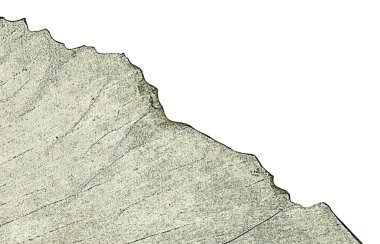 Retro, grunge, eski yaprak dokusu.