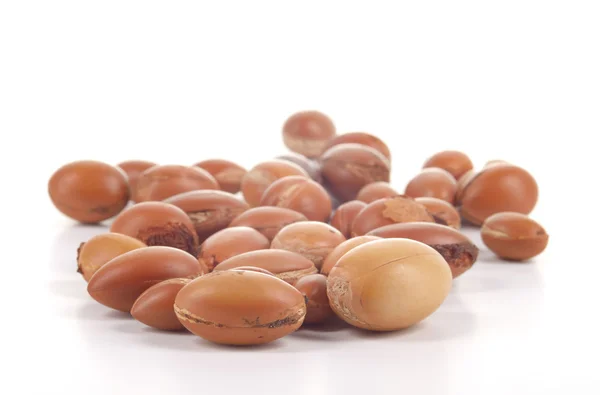 Primo piano di un gruppo di noci di argan su fondo bianco . — Foto Stock