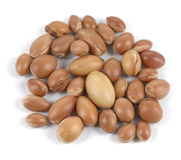 Grupp av argan nötter på en vit bakgrund. — Stockfoto