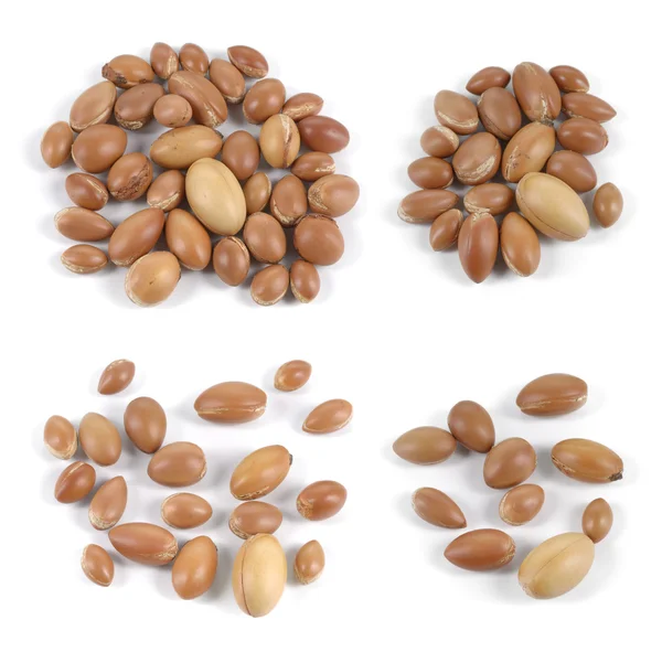 Set of groups of argan nuts on white background. — Stock Photo, Image