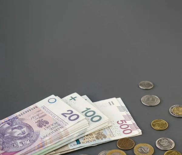 Lengyel Készpénz Zloty Másolás Tér Pénzügyi Koncepció Pénz Szemét — Stock Fotó