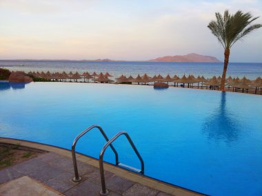 Mısır'daki tatil havuz fotoğrafı