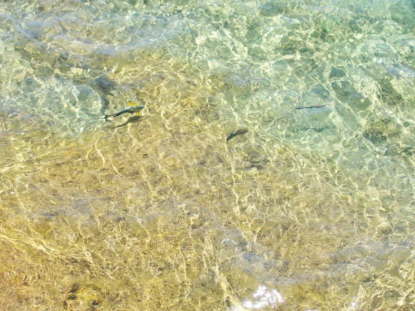 Сear transparent water in the shallows of the coastal beach Royalty Free Stock Images