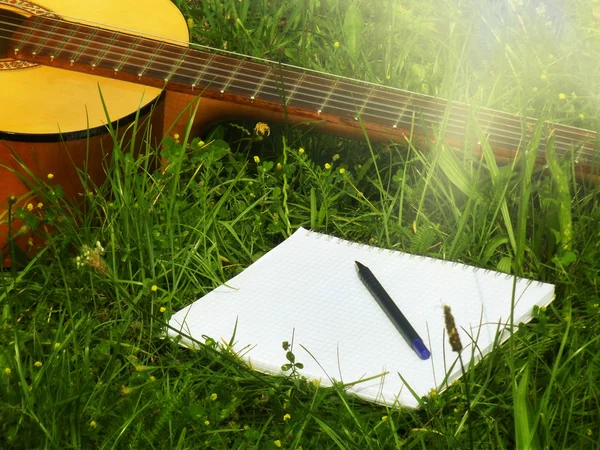 Guitarra fotográfica y bloc de notas con pluma en la hierba — Foto de Stock