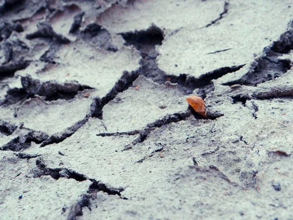 Textuur van droge grond — Stockfoto