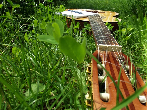 Foto gitarr på gräset — Stockfoto