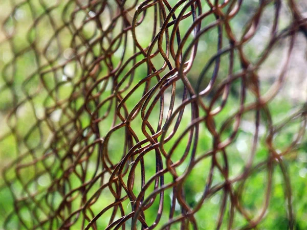 Grille photo sur fond vert — Photo