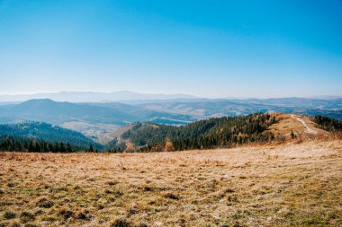 Karpat dağlarında sonbahar renkleri, Zakhar Berkut