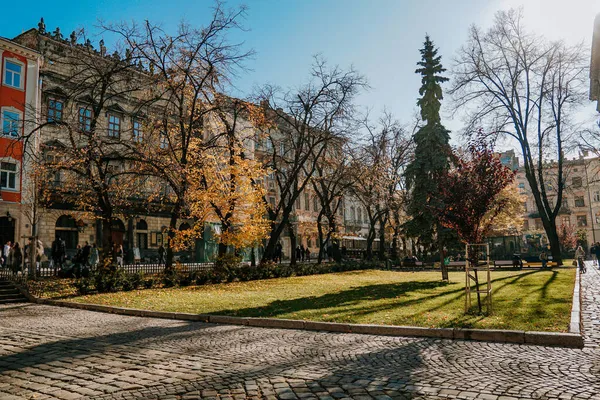 Herfstpark Straten Van Lviv Het Centrum Van Stad Zonnige Dag — Stockfoto