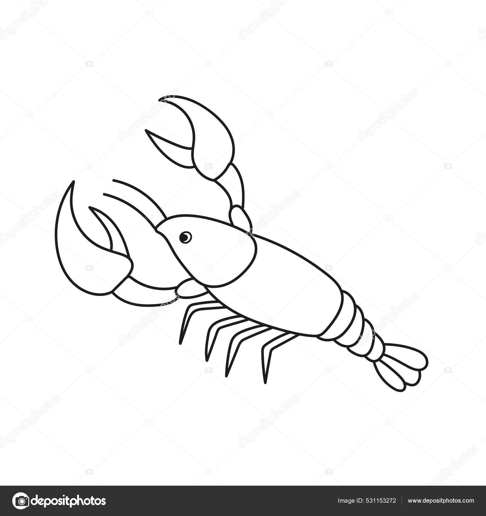 Página para colorear simple. Ilustración vectorial del cáncer de camarón de  dibujos animados Vector de stock #531153272 de ©Brill, image size:1600x1700