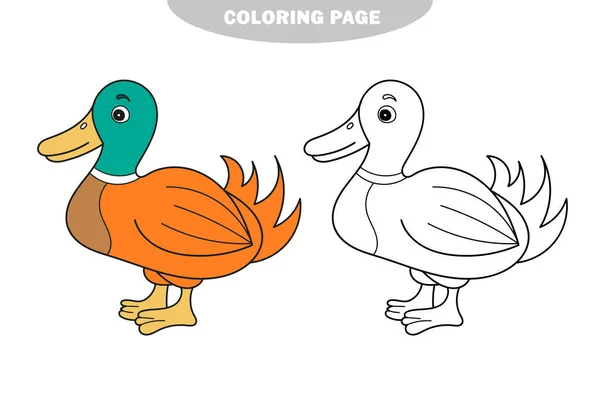 Semplice pagina da colorare. Illustrazione di vettore libro da colorare educativo - anatra — Vettoriale Stock