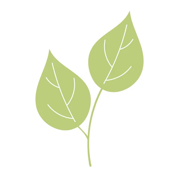 Zöld levelek rajzfilm stílusban, világos gyógynövény elszigetelt fehér háttér. — Stock Vector