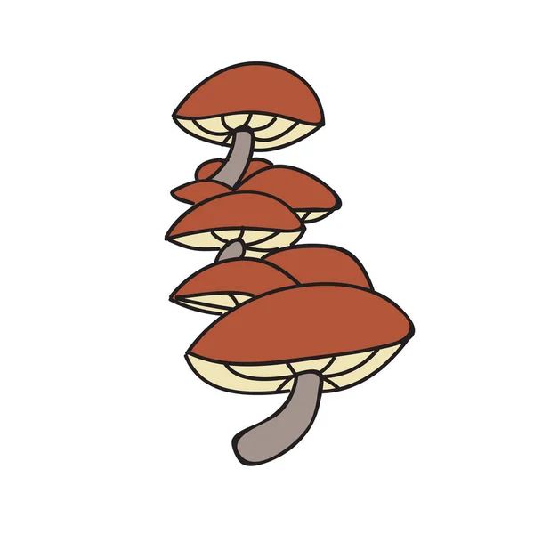 蜂蜜蘑菇。白色背景上的手绘孤立插图 — 图库矢量图片