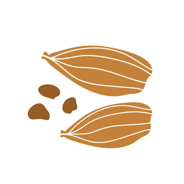 Ikona kardamomu. Botanická ručně kreslená ikona pro štítky a balíčky v jednoduchém stylu — Stockový vektor