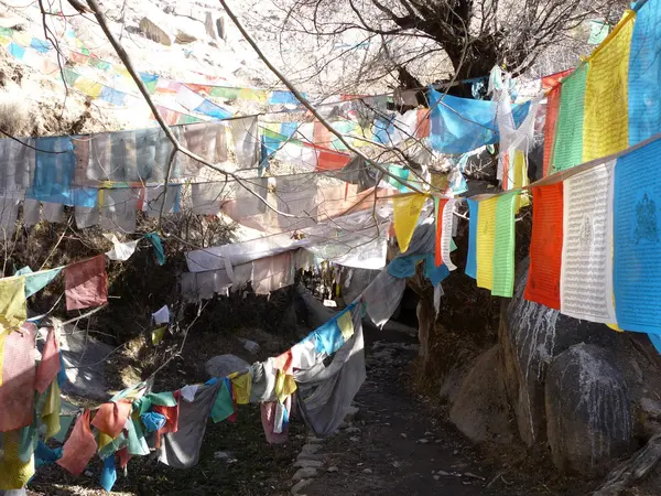Sera klostret (tibetanska darchor) - lhasa, tibet, Kina — Stockfoto